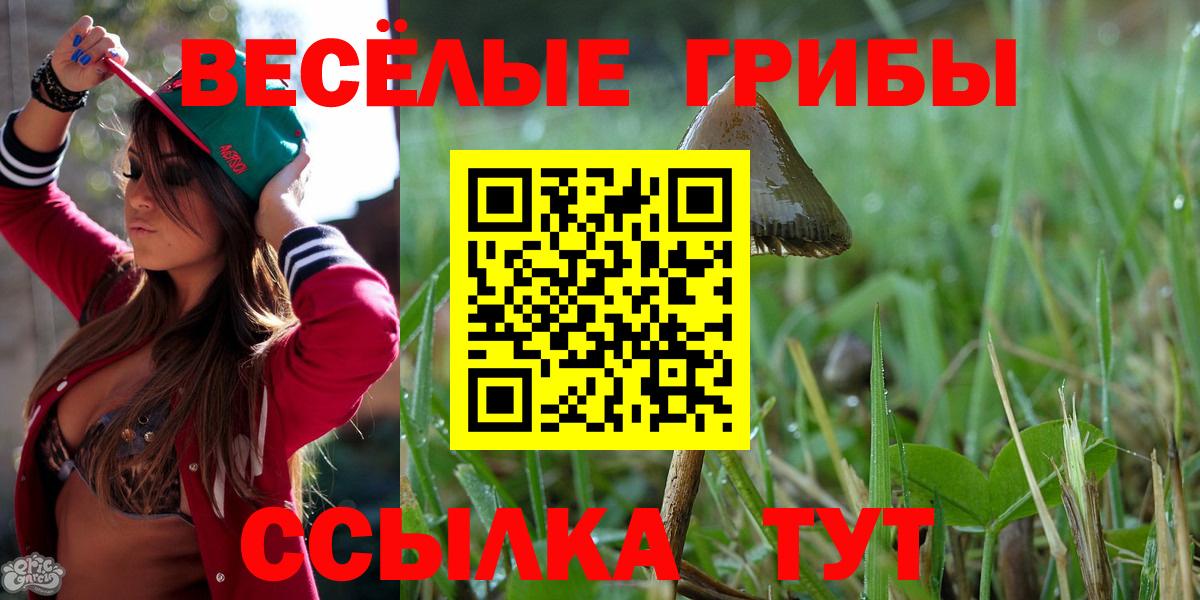 Галлюциногенные грибы Psilocybine cubensis  Вход с VPN  Галлюциногенные грибы Magic Shrooms  Ливны 