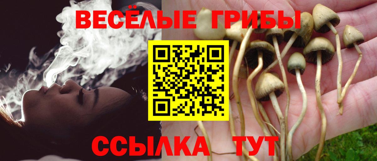 Псилоцибиновые грибы Psilocybe Ливны